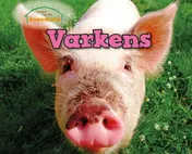 Omslag van Varkens