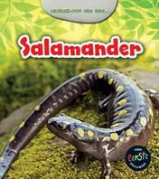 Omslag van Salamander