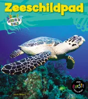 Omslag van Zeeschildpad