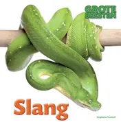 Omslag van Slang