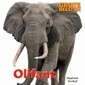 Omslag van Olifant