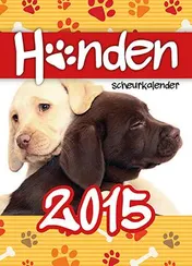 Omslag van 2015