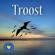 Omslag van Troost