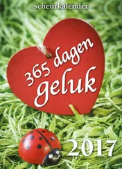 Omslag van 365 dagen geluk scheurkalender 2017