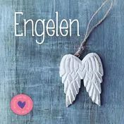 Omslag van Engelen