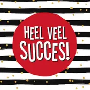 Omslag van Heel veel succes