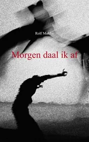 Omslag van Morgen daal ik af