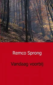 Omslag van Vandaag voorbij