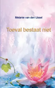 Omslag van Toeval bestaat niet