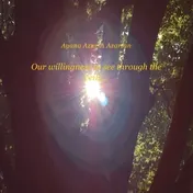 Omslag van Our willingness to see through the veills