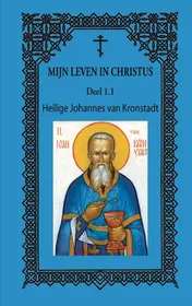 Omslag van 1.1