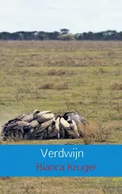 Omslag van Verdwijn