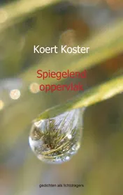 Omslag van Spiegelend oppervlak