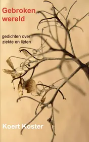 Omslag van Gebroken wereld