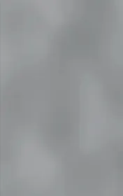 Omslag van 11