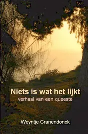 Omslag van Niets is wat het lijkt