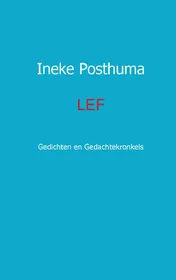 Omslag van Lef