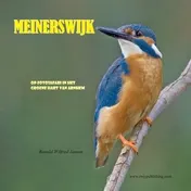 Omslag van Meinerswijk