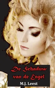 Omslag van De schaduw van de engel