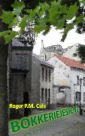 Omslag van Bokkeriejesh.nl