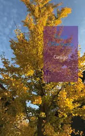 Omslag van Ginkgo
