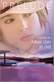 Omslag van Meer dan je ziet