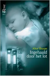 Omslag van Ingehaald door het lot