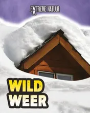 Omslag van Wild weer