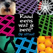 Omslag van Op straat