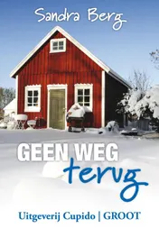 Omslag van Geen weg terug