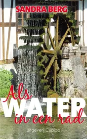 Omslag van Als water in een rad