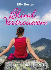 Omslag van Blind vertrouwen