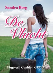 Omslag van De vlucht