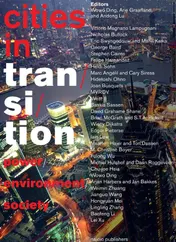 Omslag van Cities in transition