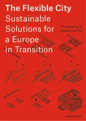 Omslag van The Flexible City