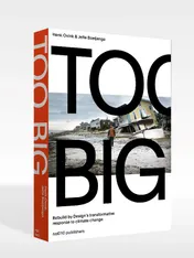 Omslag van Too Big
