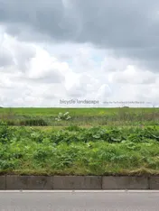 Omslag van Bicycle Landscape / Bicycle Landscape