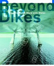 Omslag van Beyond the dikes