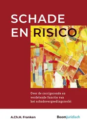 Omslag van Schade en risico