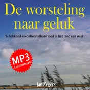 Omslag van De worsteling naar geluk