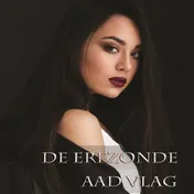 Omslag van De erfzonde