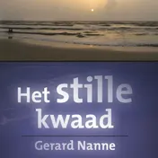Omslag van Het stille kwaad