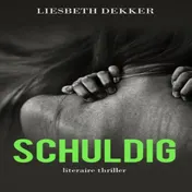 Omslag van Schuldig