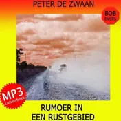 Omslag van Rumoer in een rustgebied
