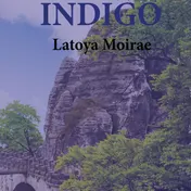 Omslag van Indigo