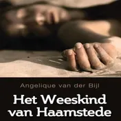 Omslag van Het weeskind van Haamstede