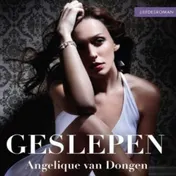 Omslag van Geslepen