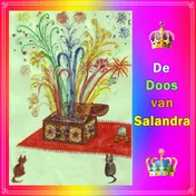 Omslag van De doos van Salandra