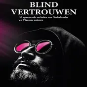 Omslag van Blind vertrouwen