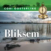 Omslag van Bliksem